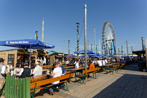 IMG_4794_sil.jpg